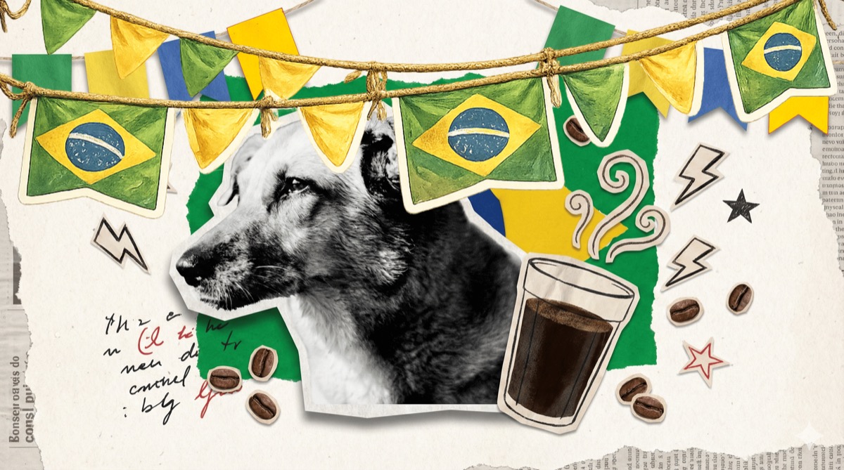 Sobre o Paga um Café